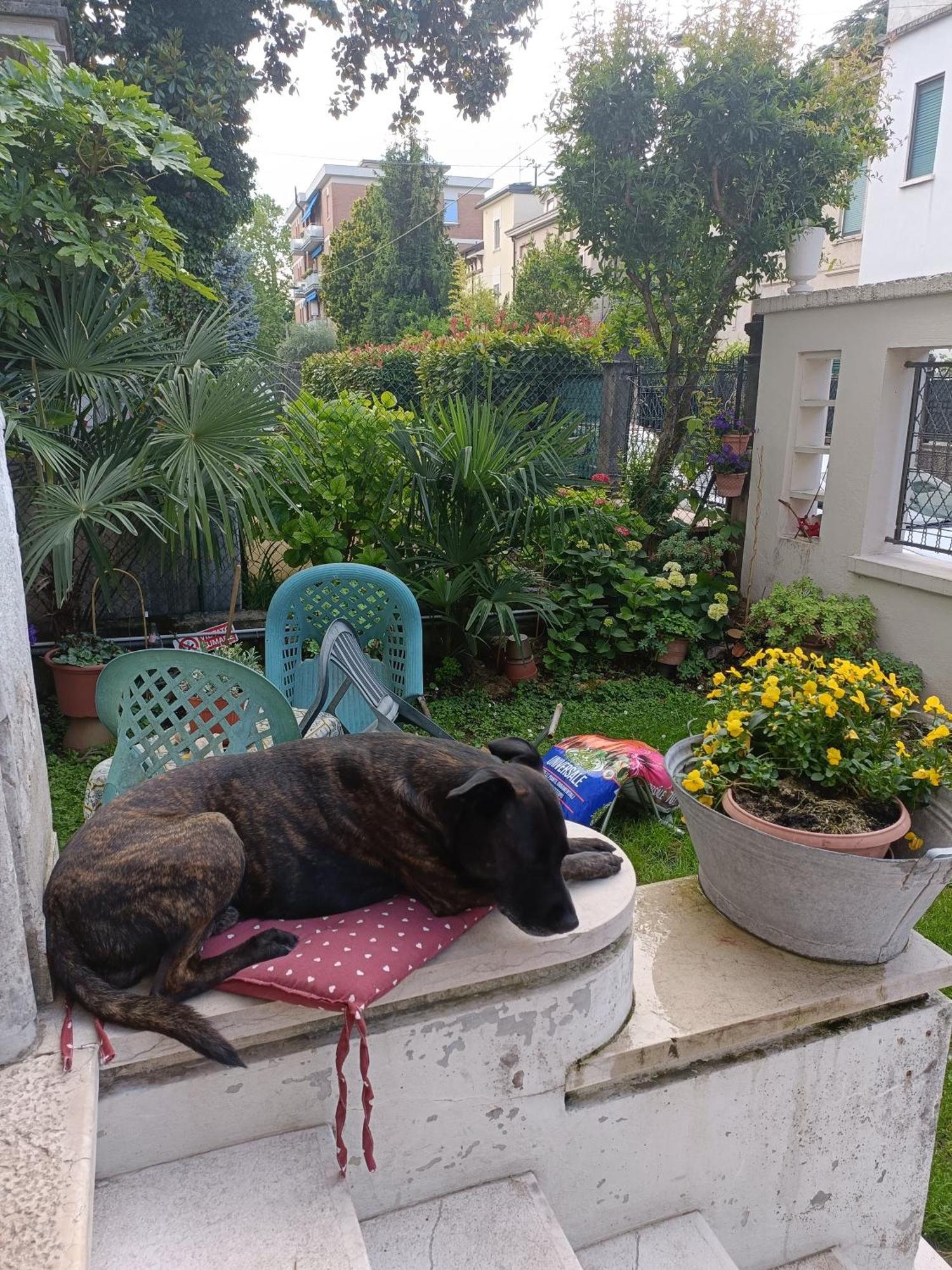 ורונה Chez Mavipagi B&B מראה חיצוני תמונה