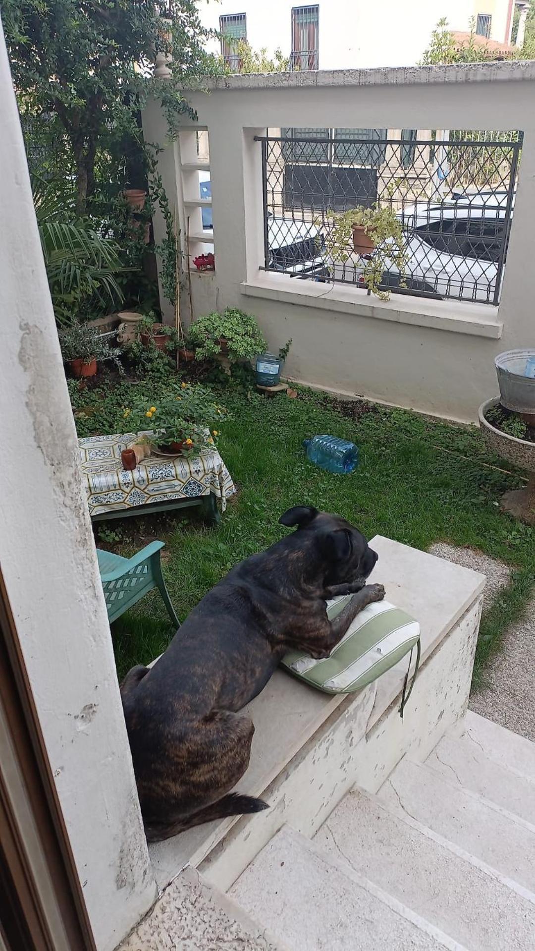 ורונה Chez Mavipagi B&B מראה חיצוני תמונה