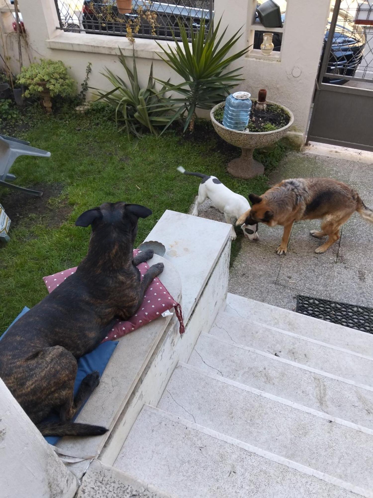 ורונה Chez Mavipagi B&B מראה חיצוני תמונה